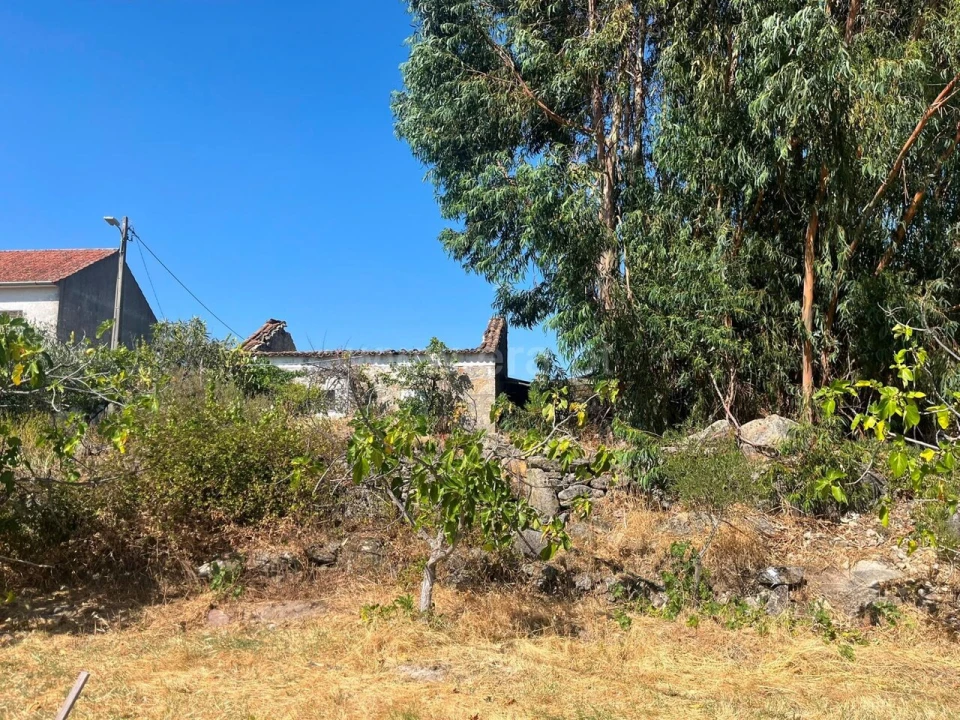 Terreno para Venda em Vale de Prazeres e Mata da Rainha Foto 1