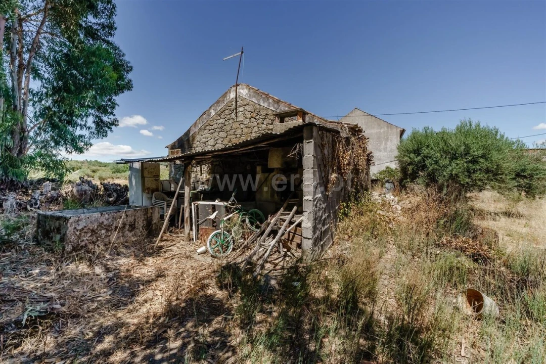 Terreno para Venda em Vale de Prazeres e Mata da Rainha Foto 4