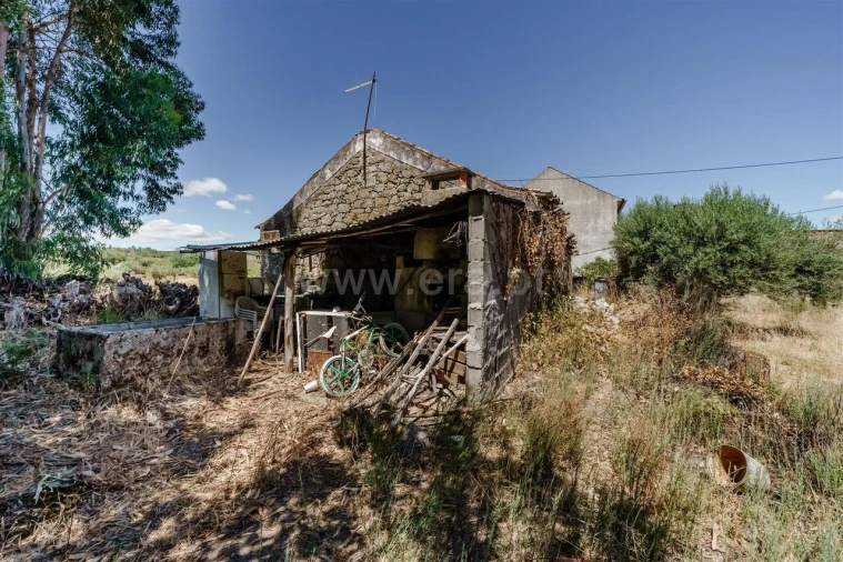Terreno para Venda em Vale de Prazeres e Mata da Rainha Foto 4