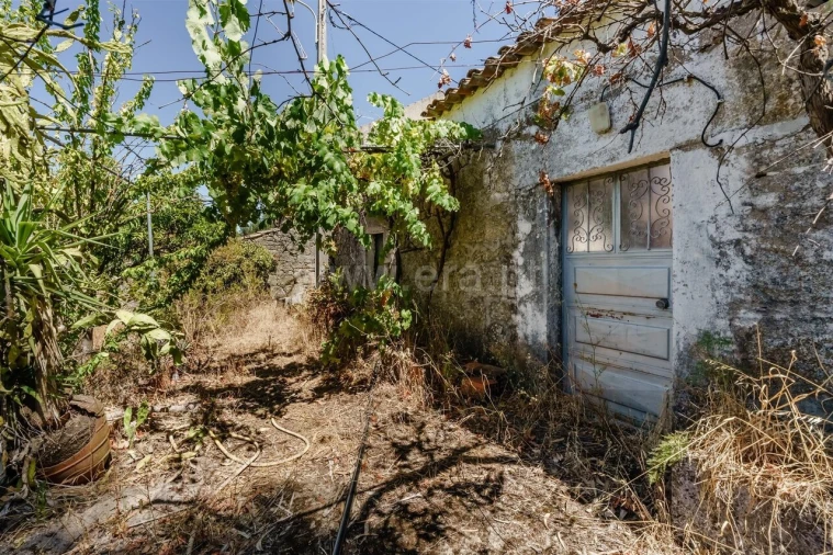 Terreno para Venda em Vale de Prazeres e Mata da Rainha Foto 20