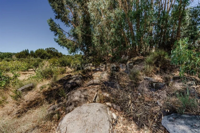 Terreno para Venda em Vale de Prazeres e Mata da Rainha Foto 15