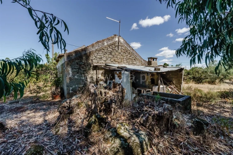 Terreno para Venda em Vale de Prazeres e Mata da Rainha Foto 3
