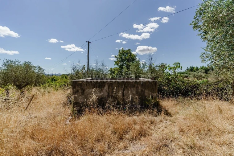 Terreno para Venda em Vale de Prazeres e Mata da Rainha Foto 8