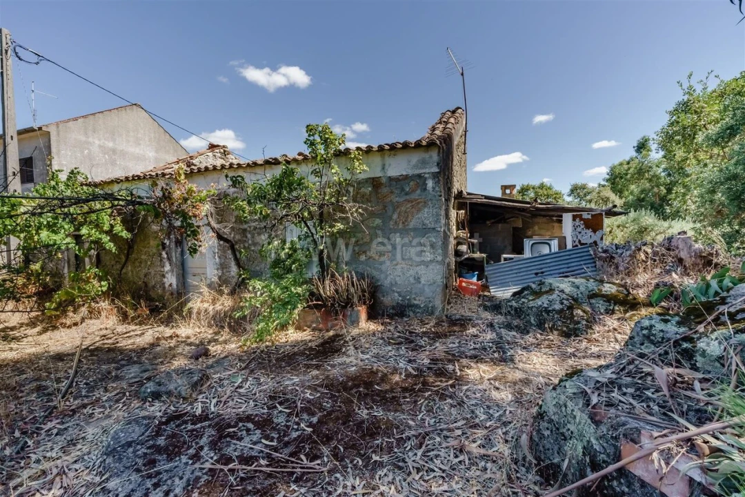 Terreno para Venda em Vale de Prazeres e Mata da Rainha Foto 5