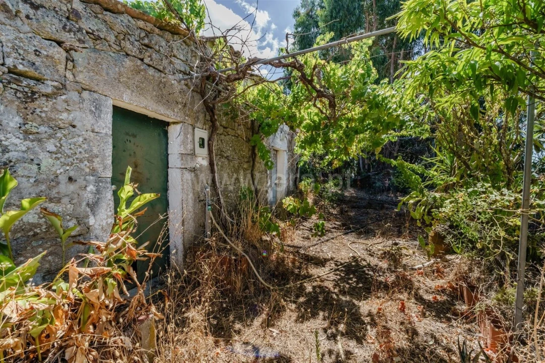 Terreno para Venda em Vale de Prazeres e Mata da Rainha Foto 2