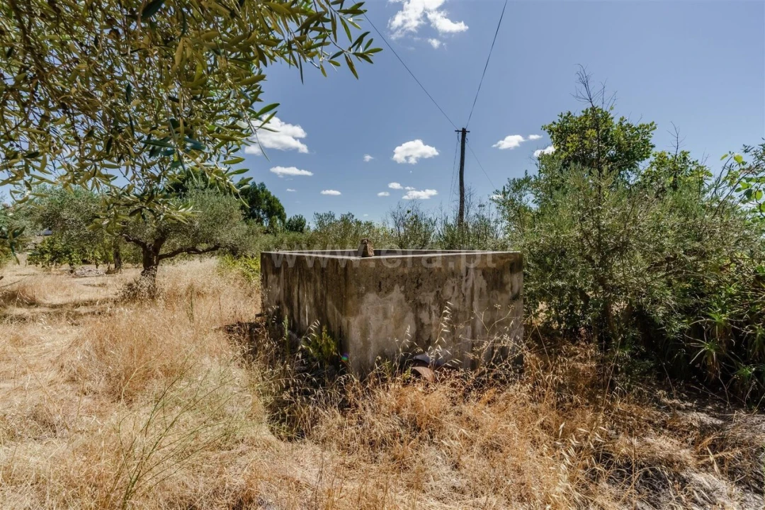 Terreno para Venda em Vale de Prazeres e Mata da Rainha Foto 7