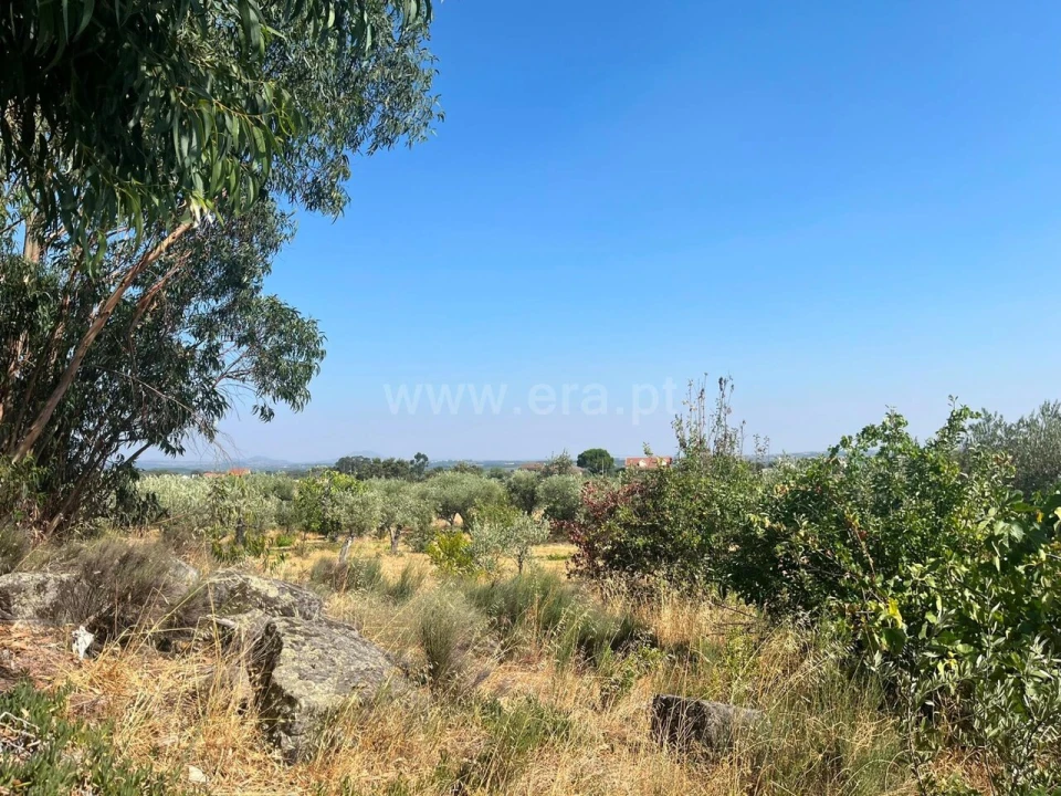 Terreno para Venda em Vale de Prazeres e Mata da Rainha Foto 8
