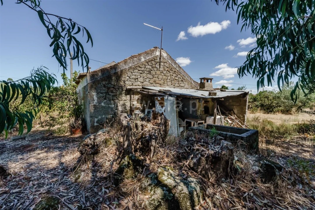 Terreno para Venda em Vale de Prazeres e Mata da Rainha Foto 3