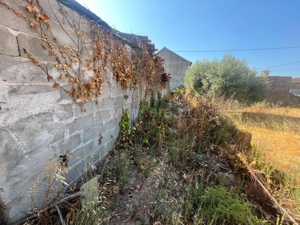 Terreno para Venda em Vale de Prazeres e Mata da Rainha Foto 12