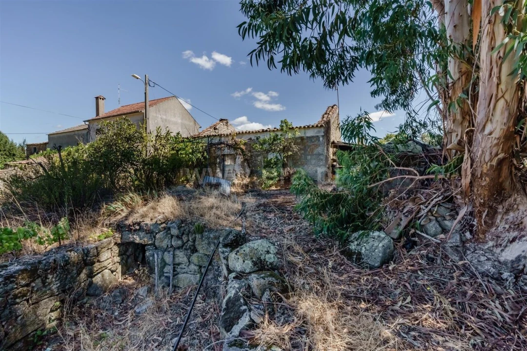 Terreno para Venda em Vale de Prazeres e Mata da Rainha Foto 18