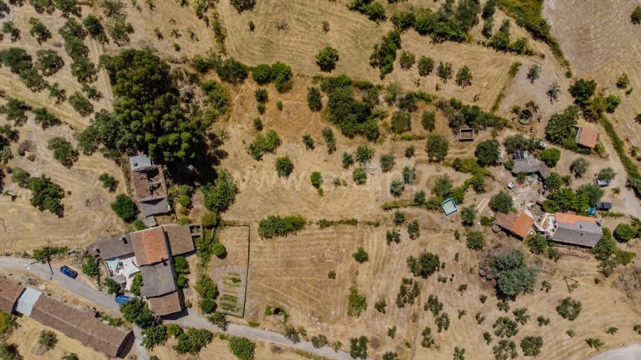 Terreno para Venda em Vale de Prazeres e Mata da Rainha