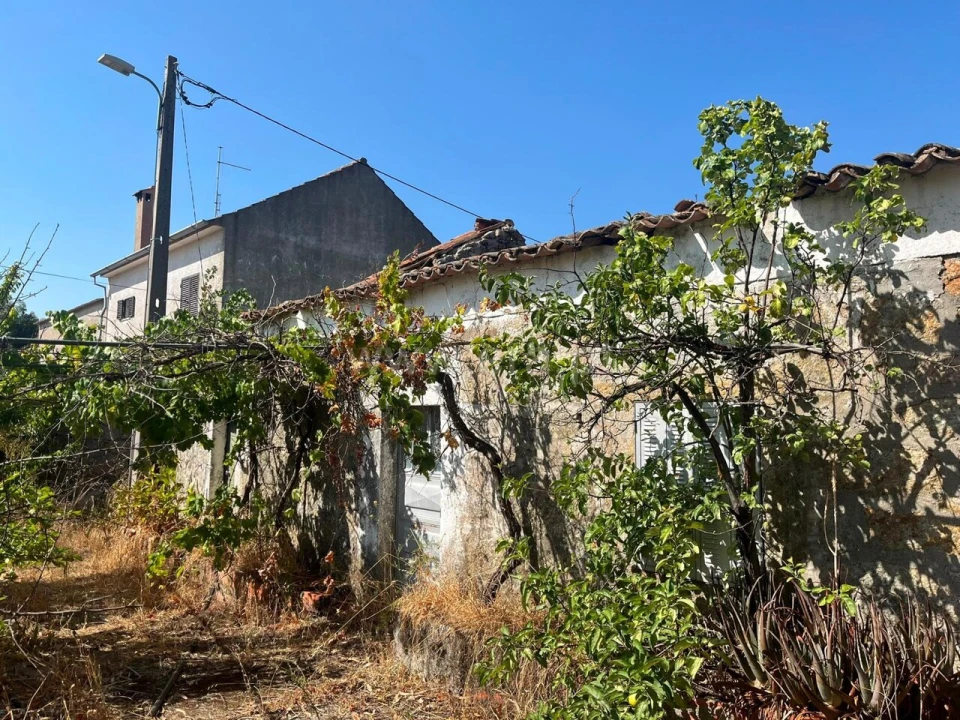 Terreno para Venda em Vale de Prazeres e Mata da Rainha Foto 4