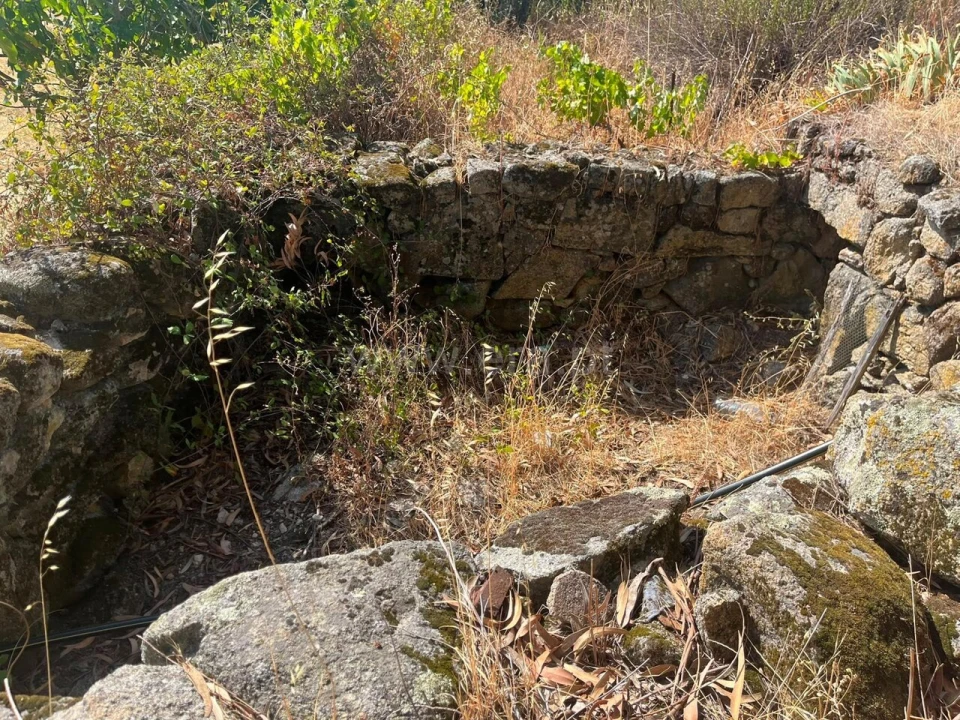Terreno para Venda em Vale de Prazeres e Mata da Rainha Foto 3