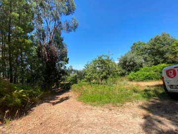Quinta T0 para Venda em Alcaide
