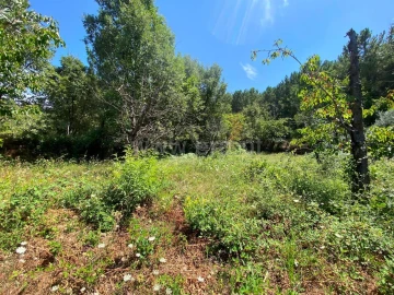 Quinta T0 para Venda em Alcaide