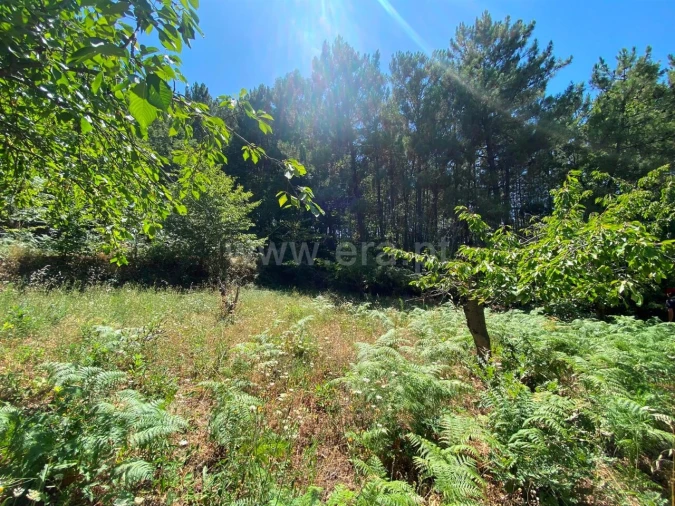 Quinta T0 para Venda em Alcaide Foto 3