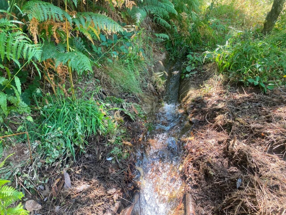 Quinta T0 para Venda em Alcaide Foto 10