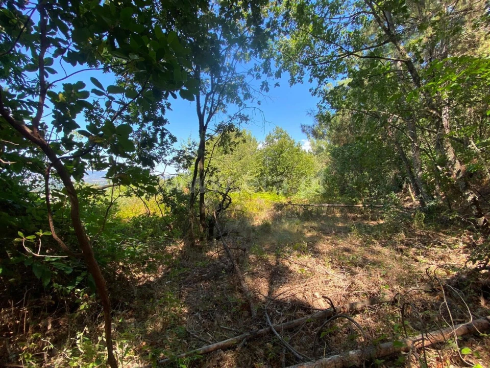 Quinta T0 para Venda em Alcaide Foto 2