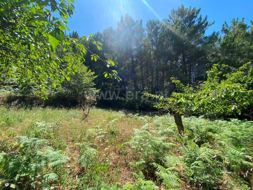 Quinta T0 para Venda em Alcaide Foto 3