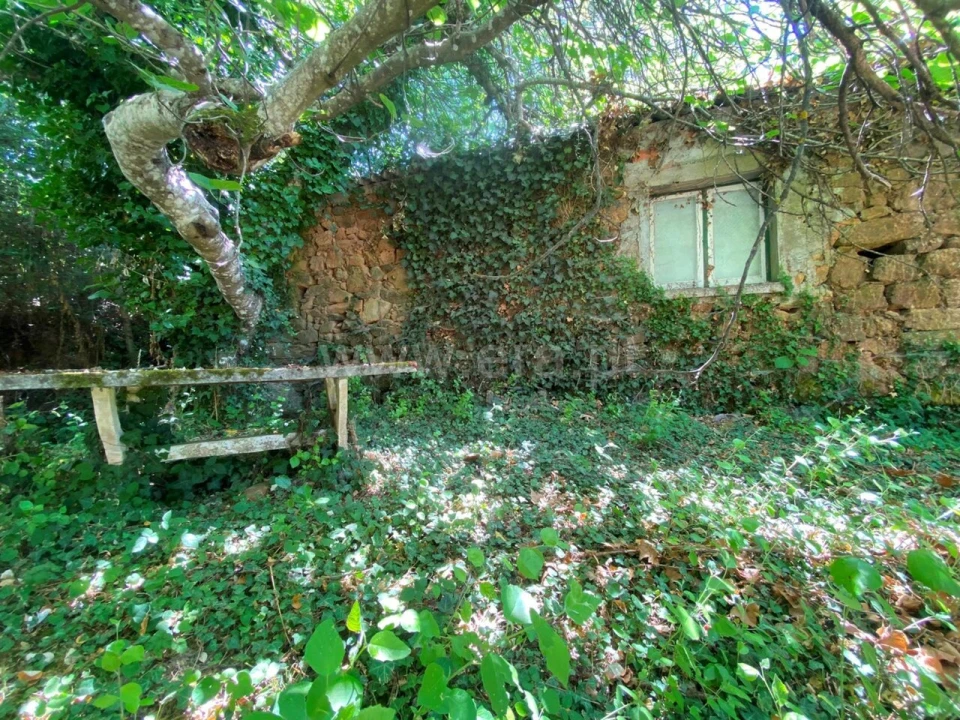 Quinta T0 para Venda em Alcaide Foto 1