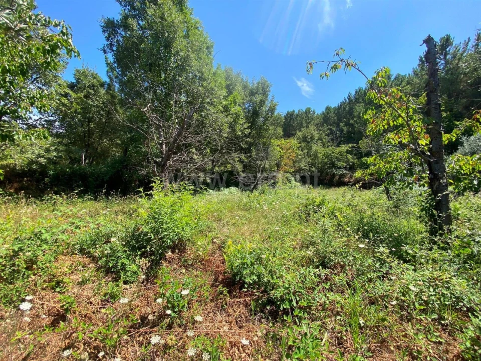 Quinta T0 para Venda em Alcaide Foto 5