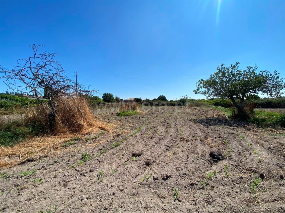 Terreno para Venda em Soalheira Foto 3