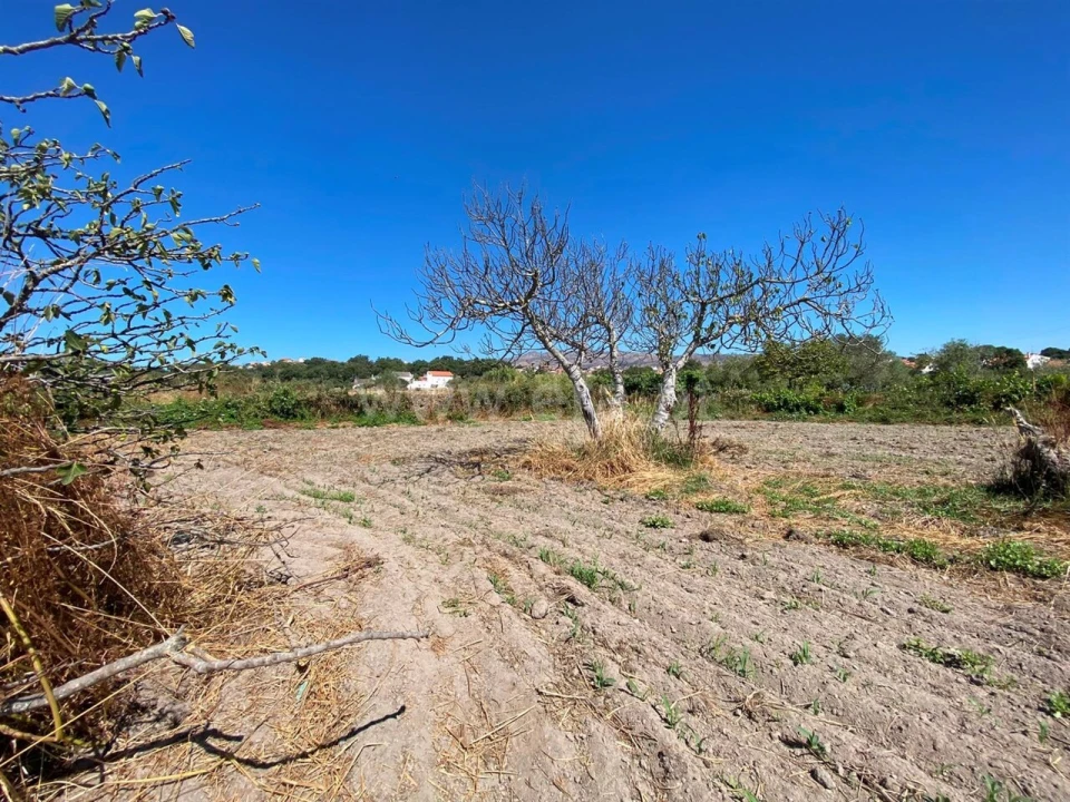 Terreno para Venda em Soalheira Foto 2