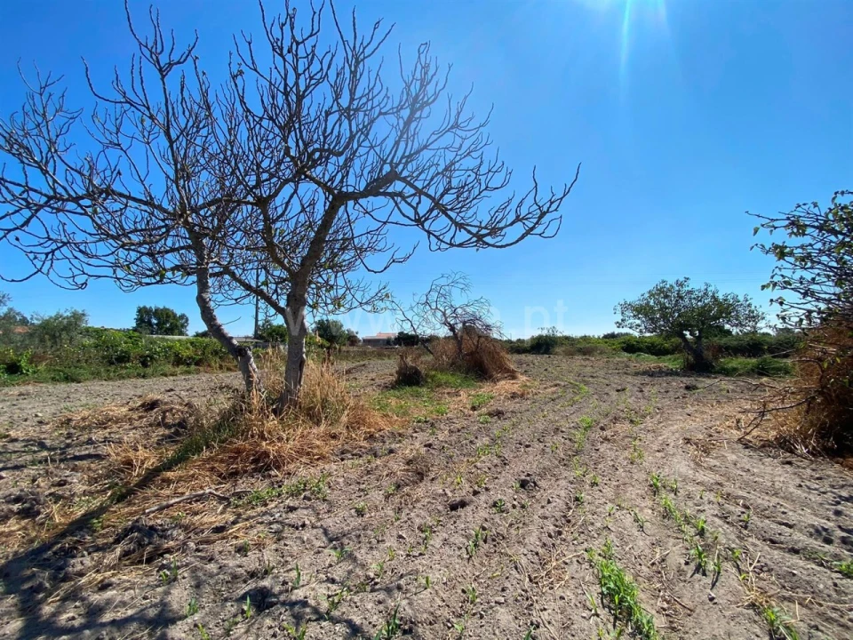 Terreno para Venda em Soalheira Foto 1