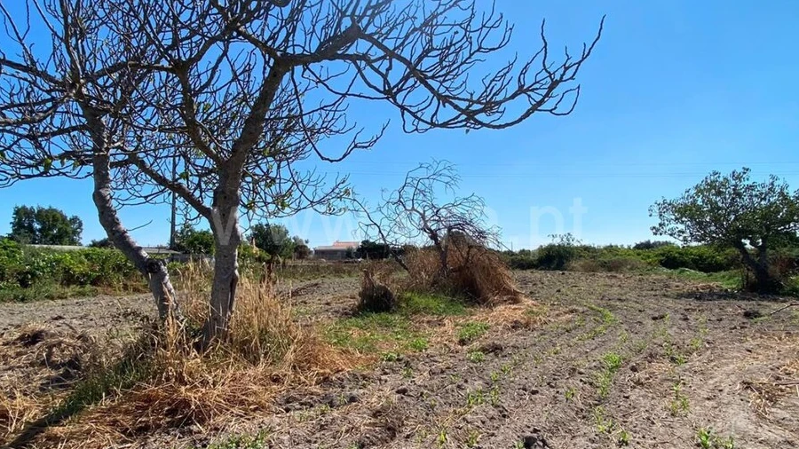 Terreno para Venda em Soalheira