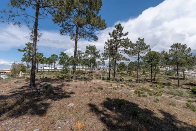 Terreno para Venda em Comporta