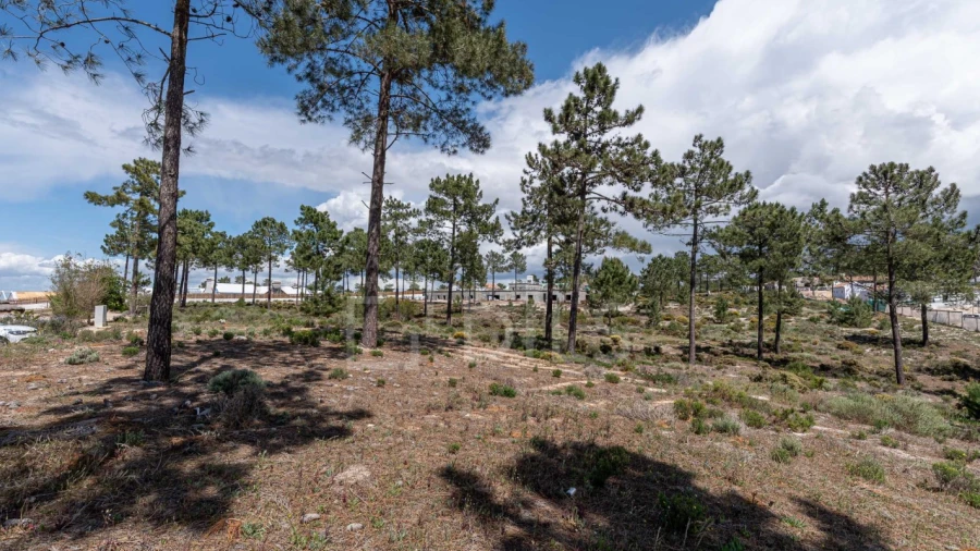 Terreno para Venda em Comporta