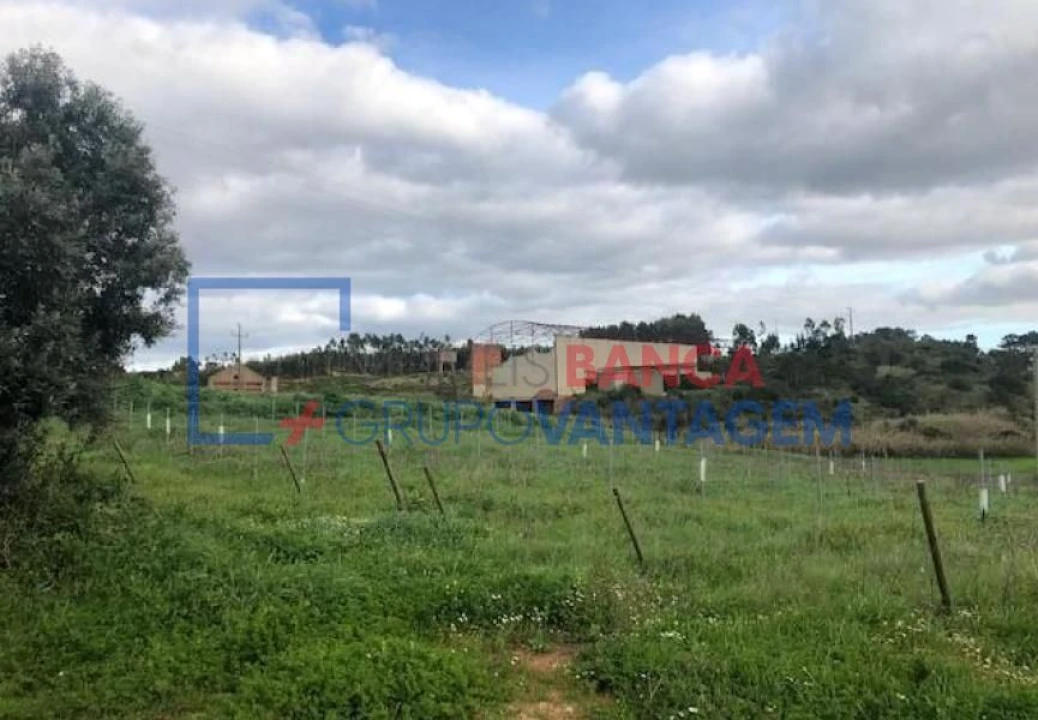Prédio para Venda em Ventosa Foto 6