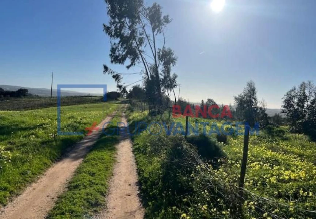 Prédio para Venda em Ventosa Foto 8
