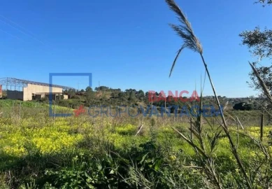 Prédio para Venda em Ventosa