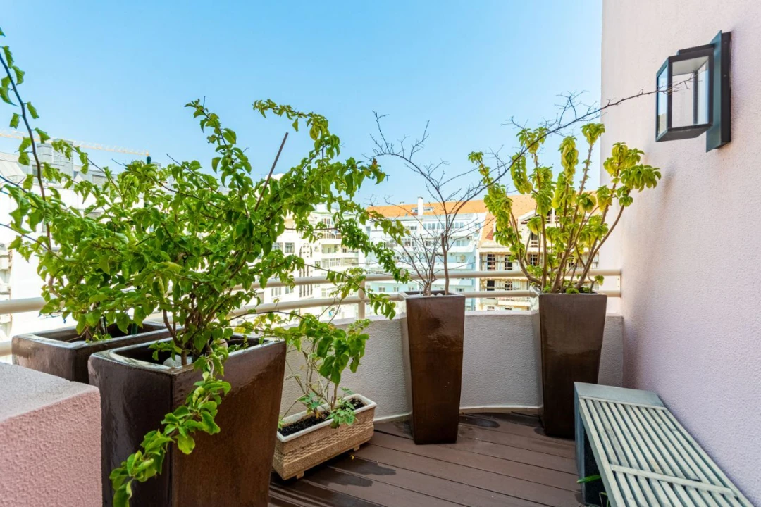 Apartamento T4 para Venda em Avenidas Novas Foto 29
