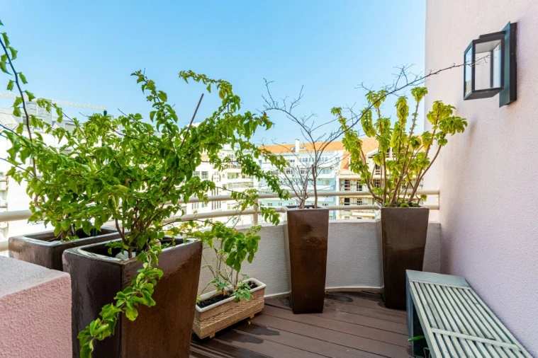 Apartamento T4 para Venda em Avenidas Novas Foto 29