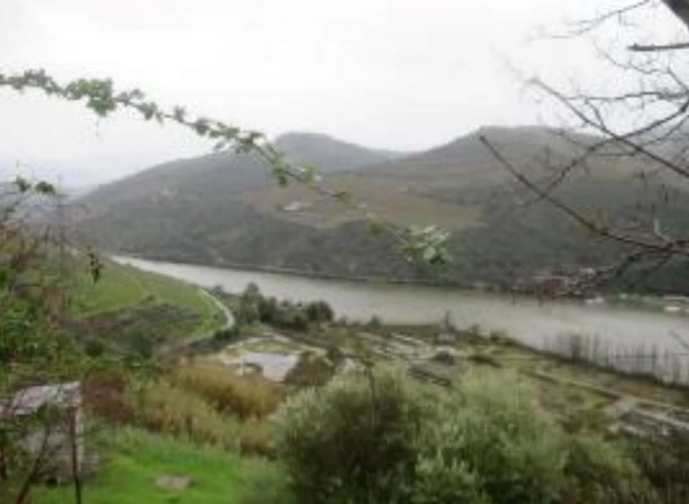 Terreno P/ Prédio para Venda em Poiares e Canelas Foto 3