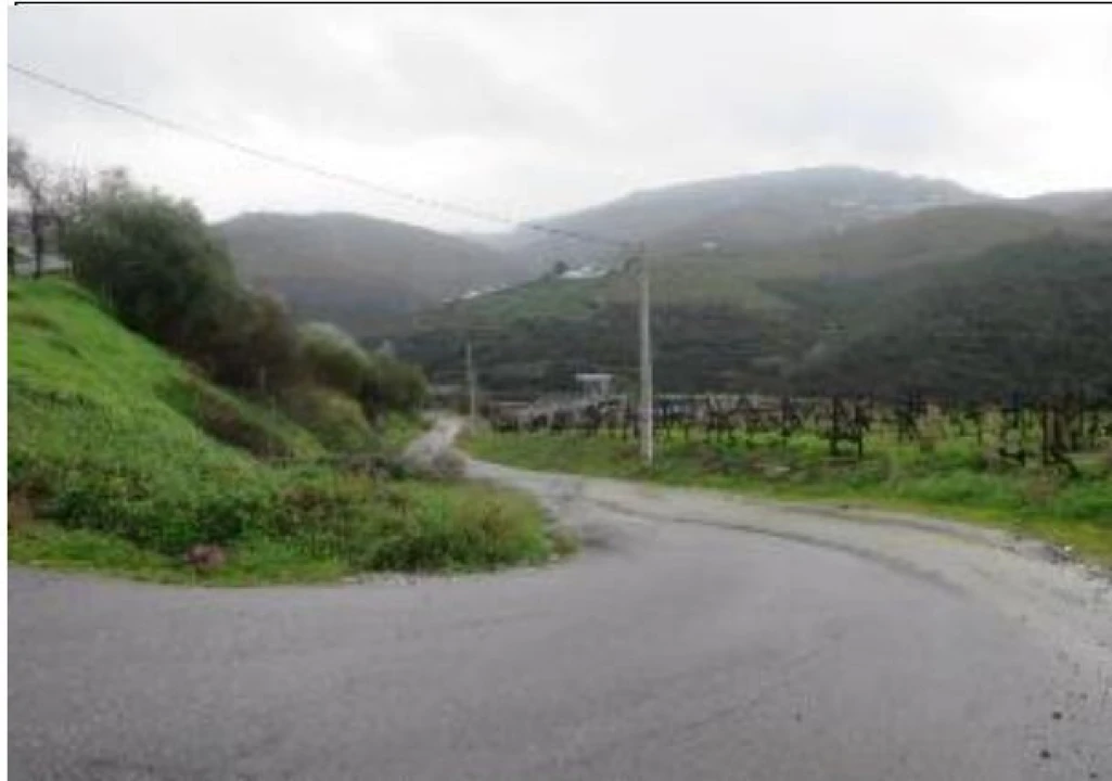 Terreno P/ Prédio para Venda em Poiares e Canelas Foto 4
