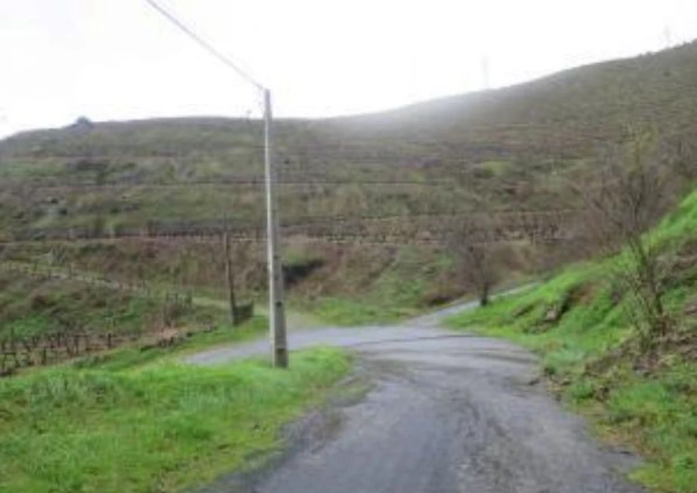 Terreno P/ Prédio para Venda em Poiares e Canelas Foto 5