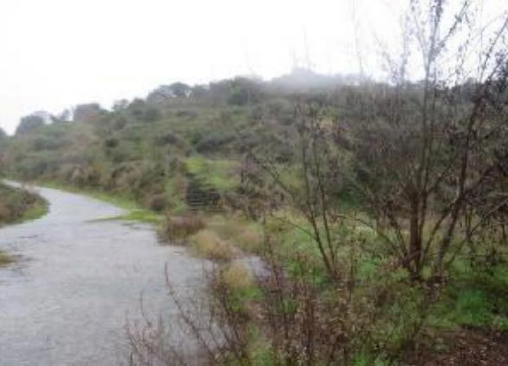 Terreno P/ Prédio para Venda em Poiares e Canelas Foto 10