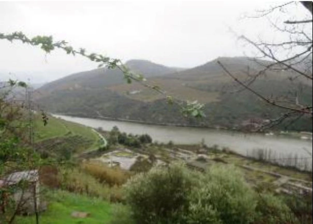 Terreno P/ Prédio para Venda em Poiares e Canelas Foto 21