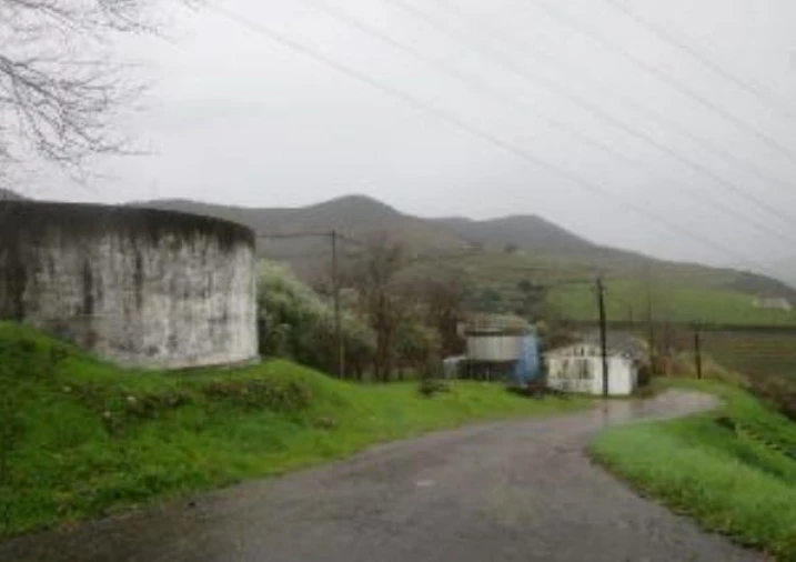 Terreno P/ Prédio para Venda em Poiares e Canelas Foto 11