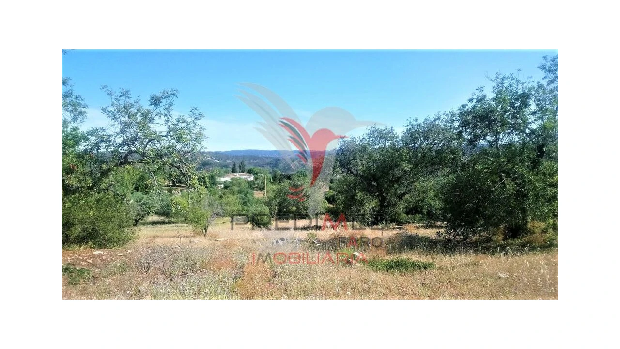 Terreno para Venda em Luz de Tavira e Santo Estêvão Foto 10