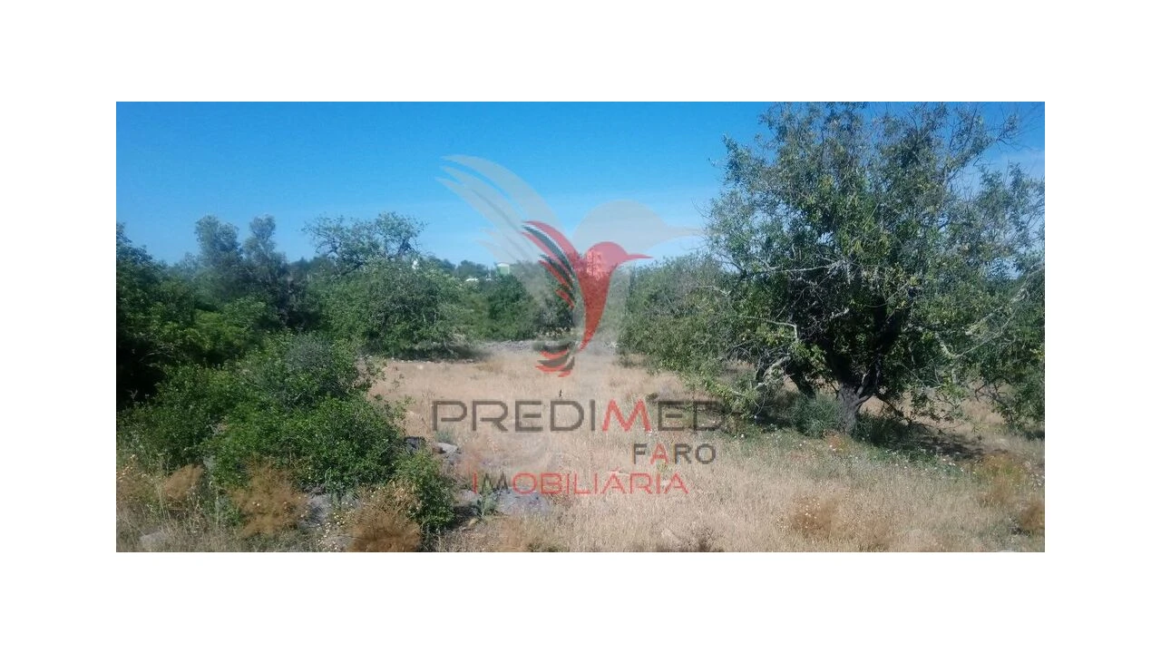 Terreno para Venda em Luz de Tavira e Santo Estêvão Foto 8