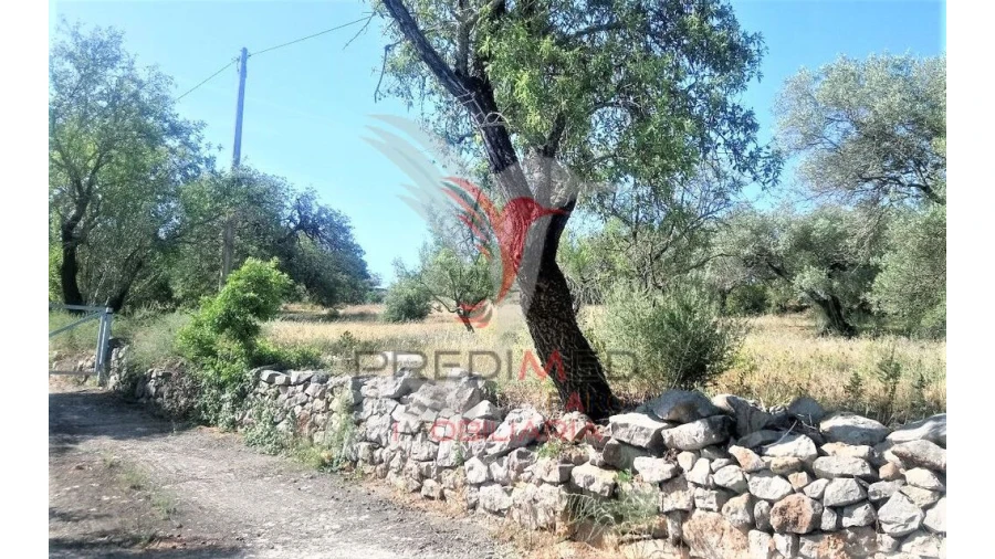 Terreno para Venda em Luz de Tavira e Santo Estêvão Foto 7