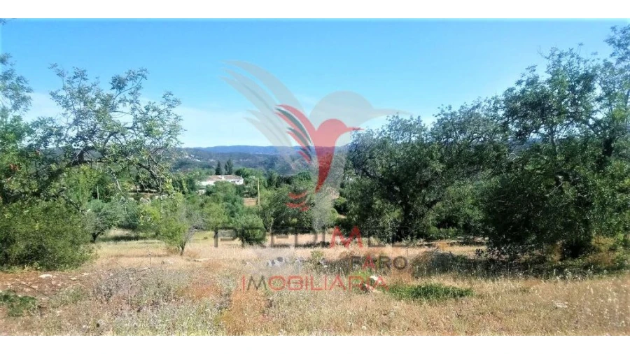 Terreno para Venda em Luz de Tavira e Santo Estêvão Foto 10