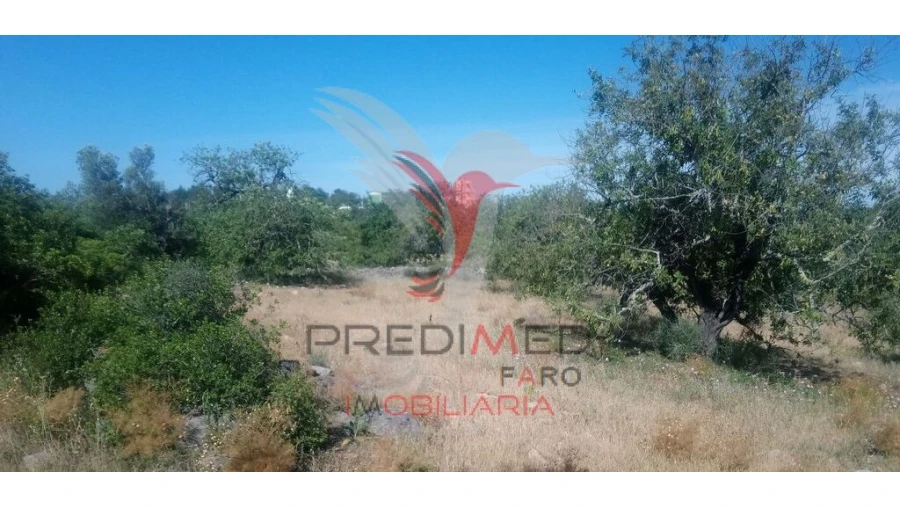 Terreno para Venda em Luz de Tavira e Santo Estêvão Foto 8