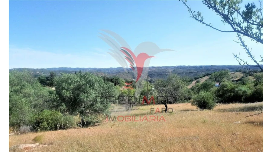 Terreno para Venda em Luz de Tavira e Santo Estêvão Foto 9