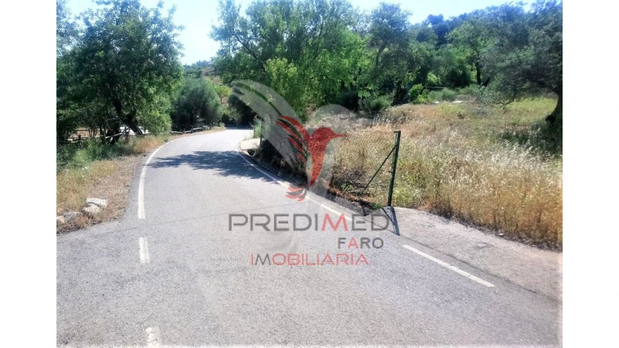 Terreno para Venda em Luz de Tavira e Santo Estêvão Foto 4