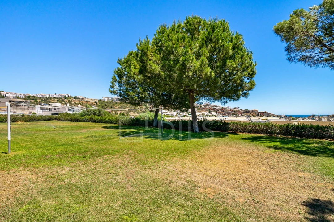 Apartamento T1 para Venda em Albufeira e Olhos de Água Foto 14